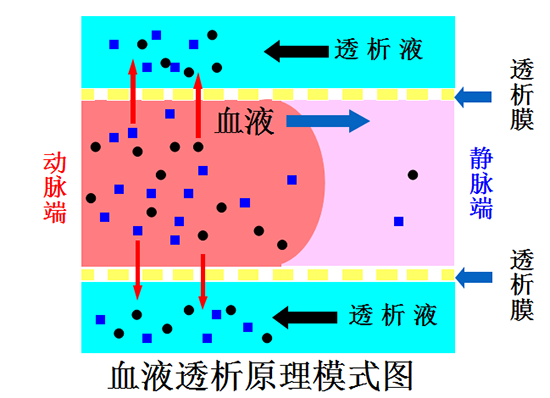 渗透压图.png